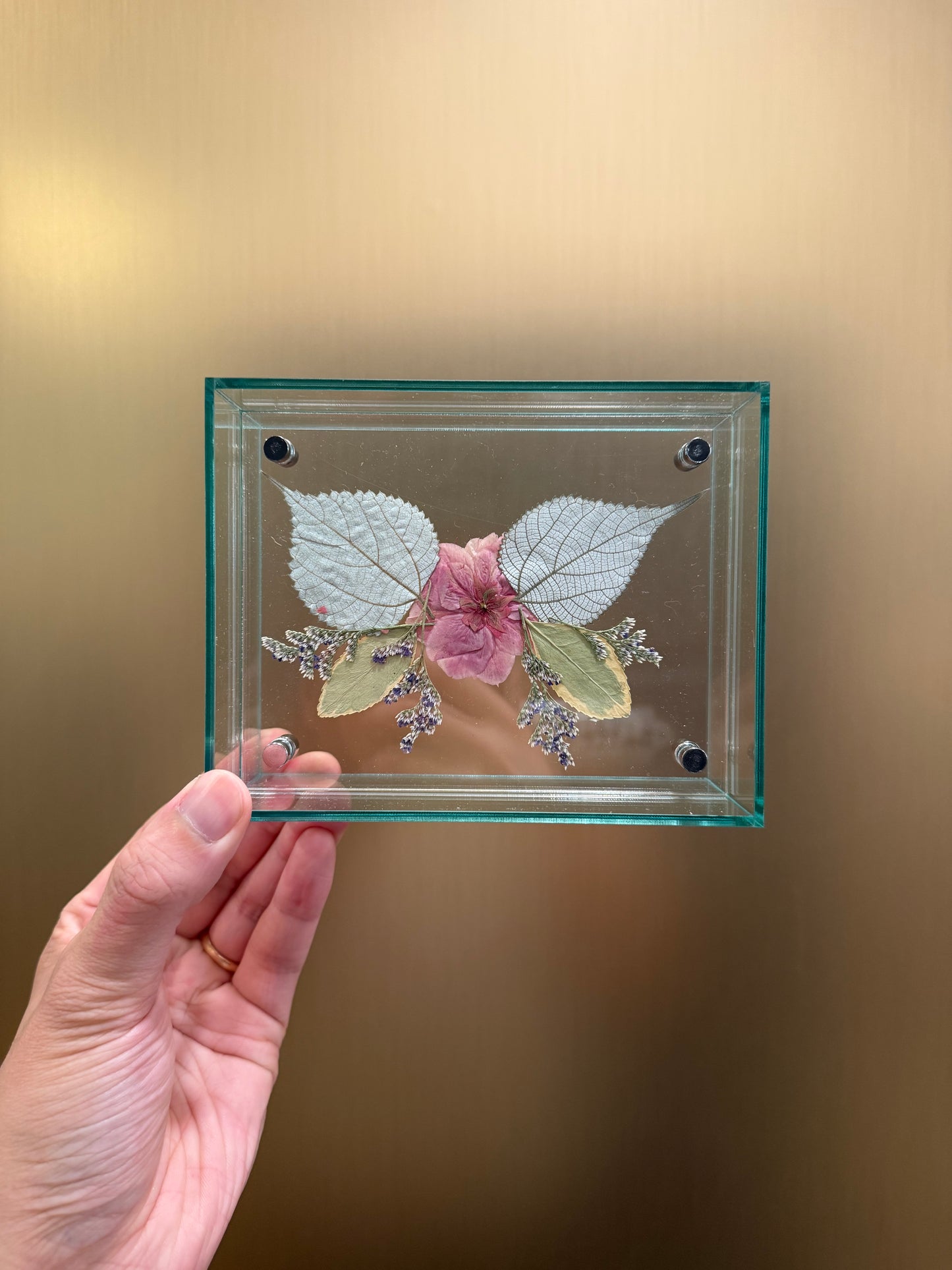Pressed Cherry Blossom