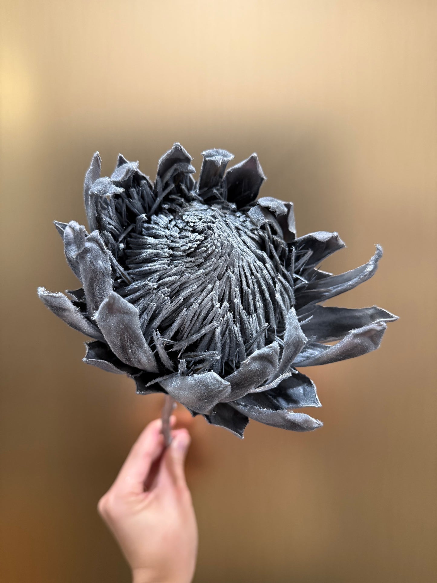 Preserved King Protea (silver)