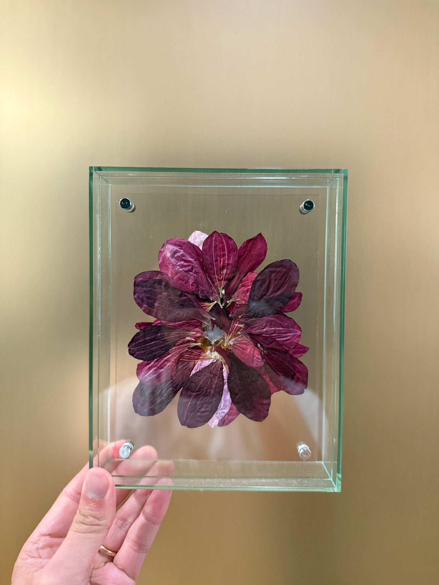 “100 dahlias” frame
