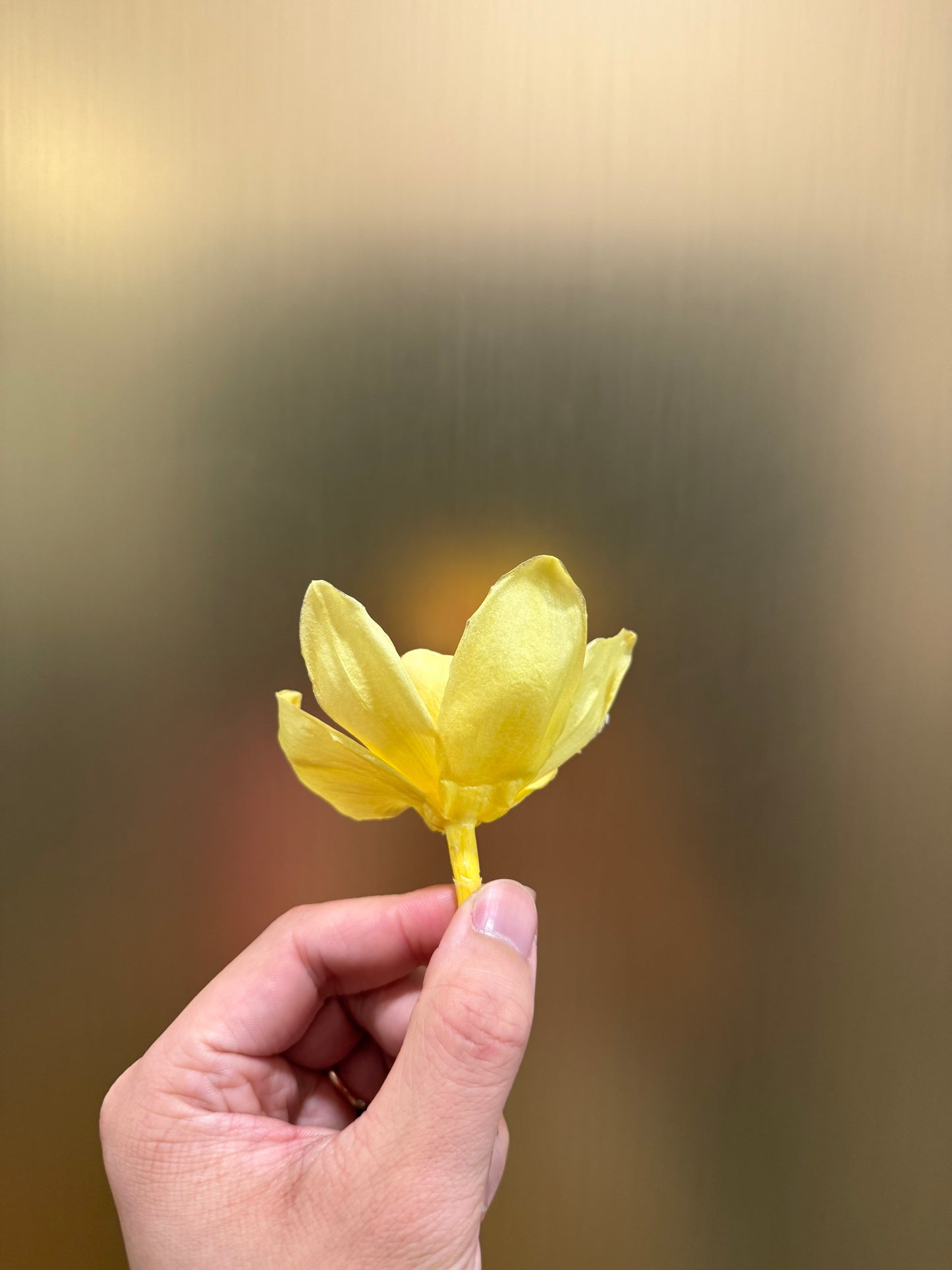 Preserved Orchid
