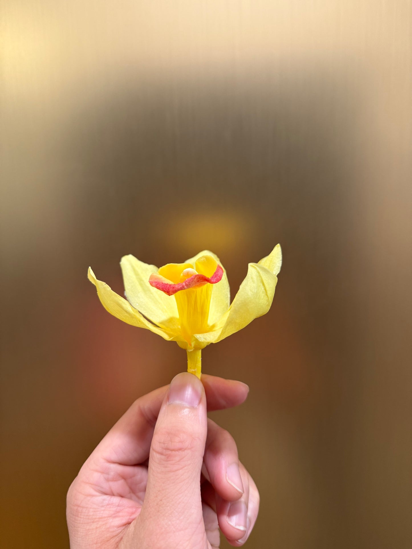 Preserved Orchid