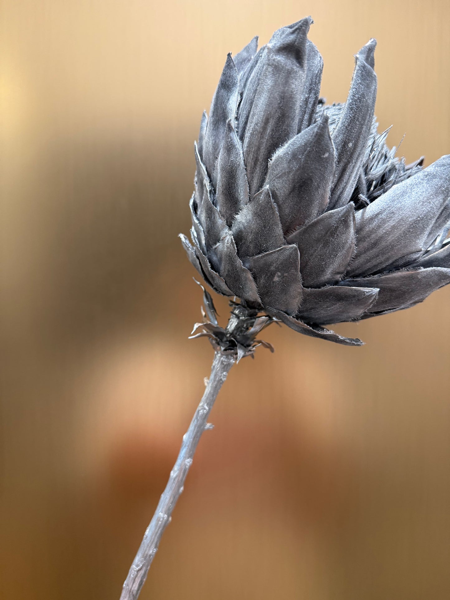 Preserved King Protea (silver)