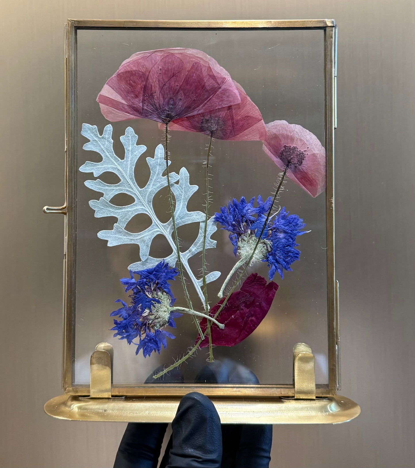 Preserved floral frame