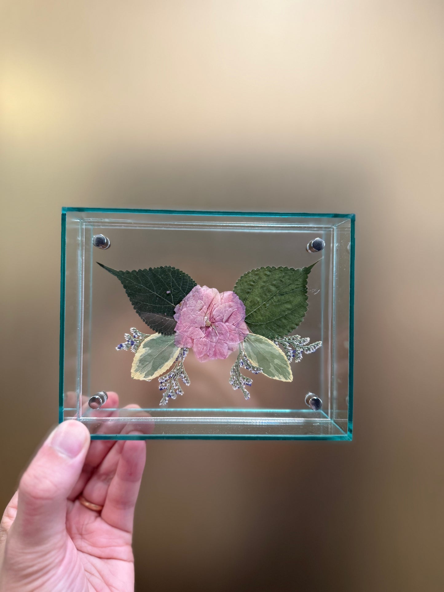 Pressed Cherry Blossom