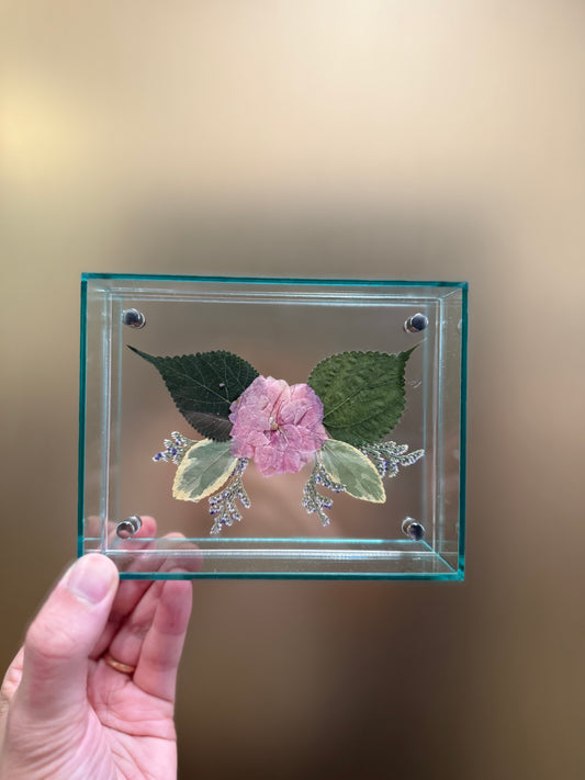 Pressed Cherry Blossom