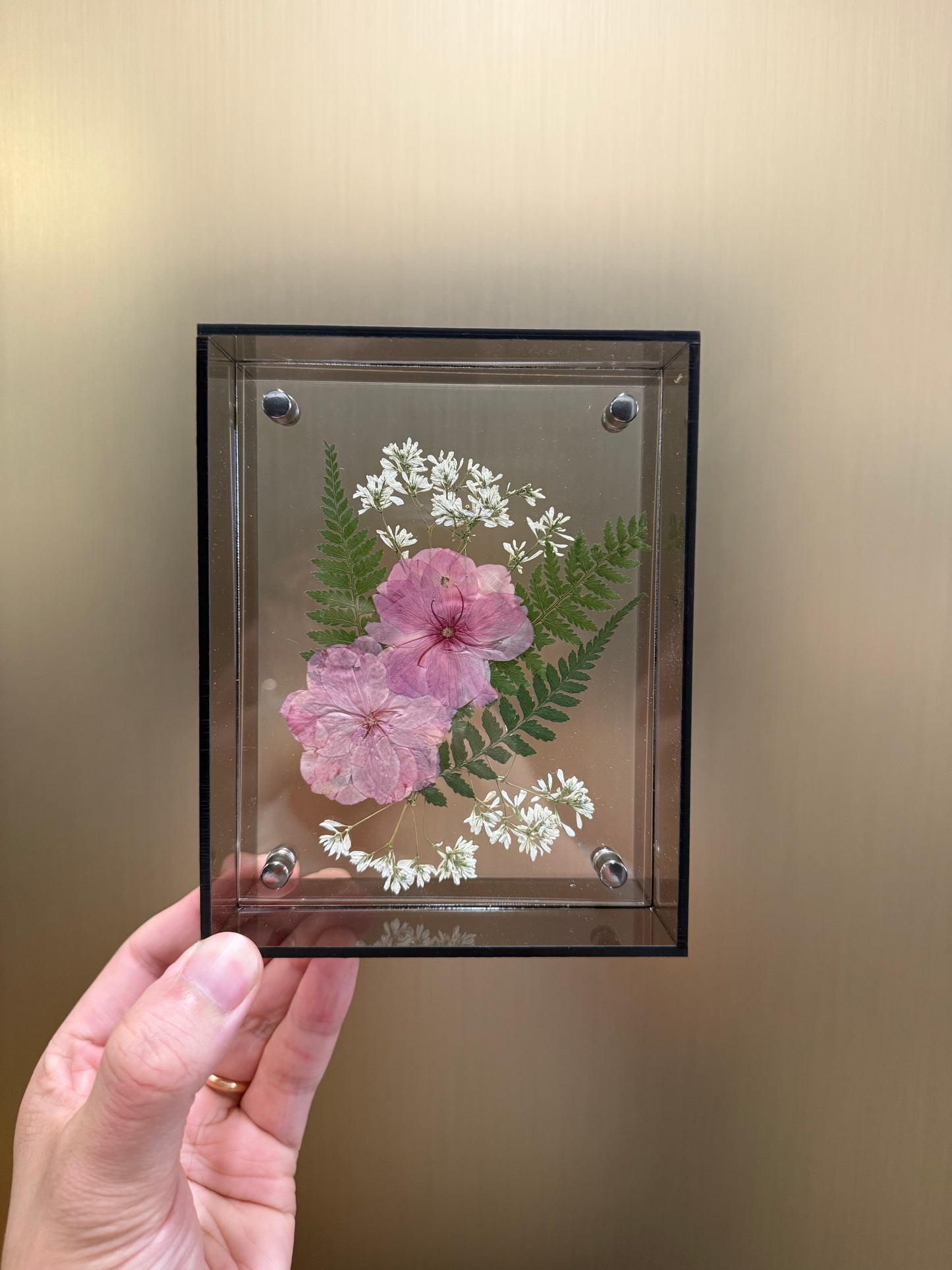 Pressed Cherry Blossom
