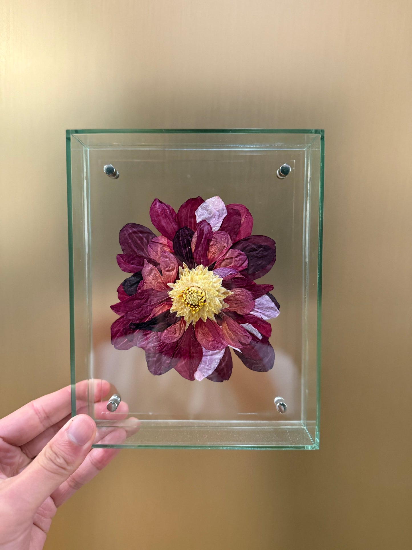 “100 dahlias” frame