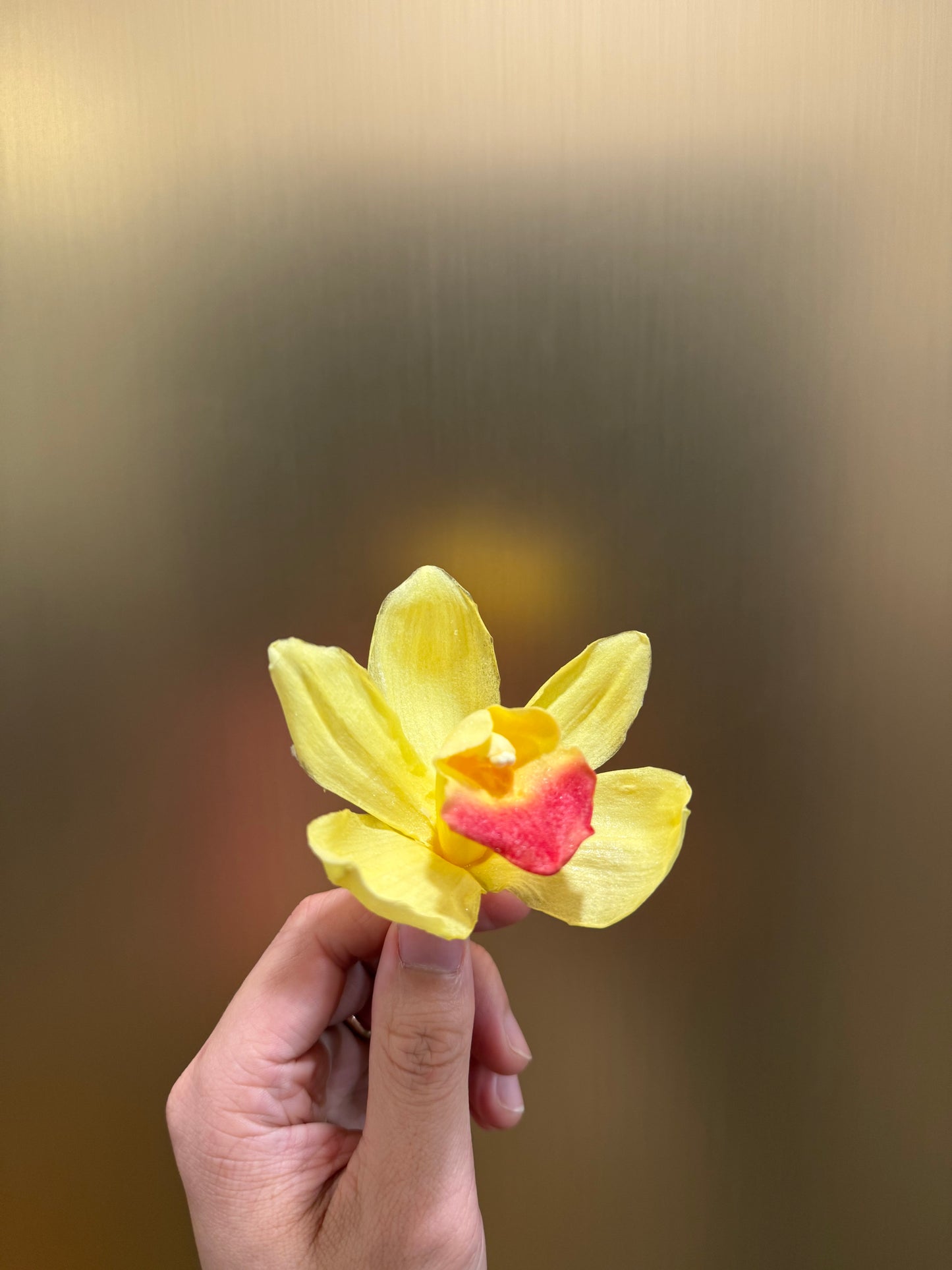 Preserved Orchid
