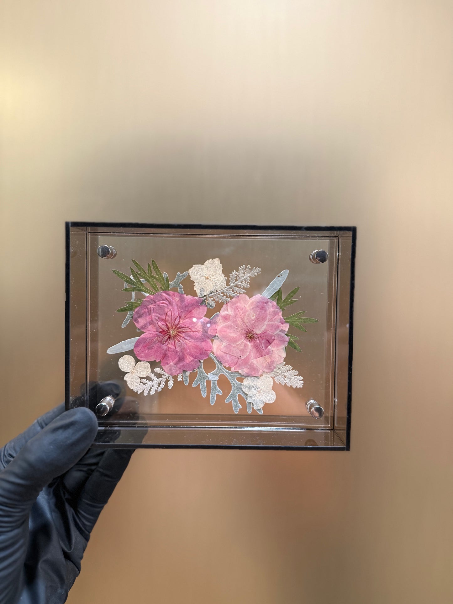 Pressed Cherry Blossom