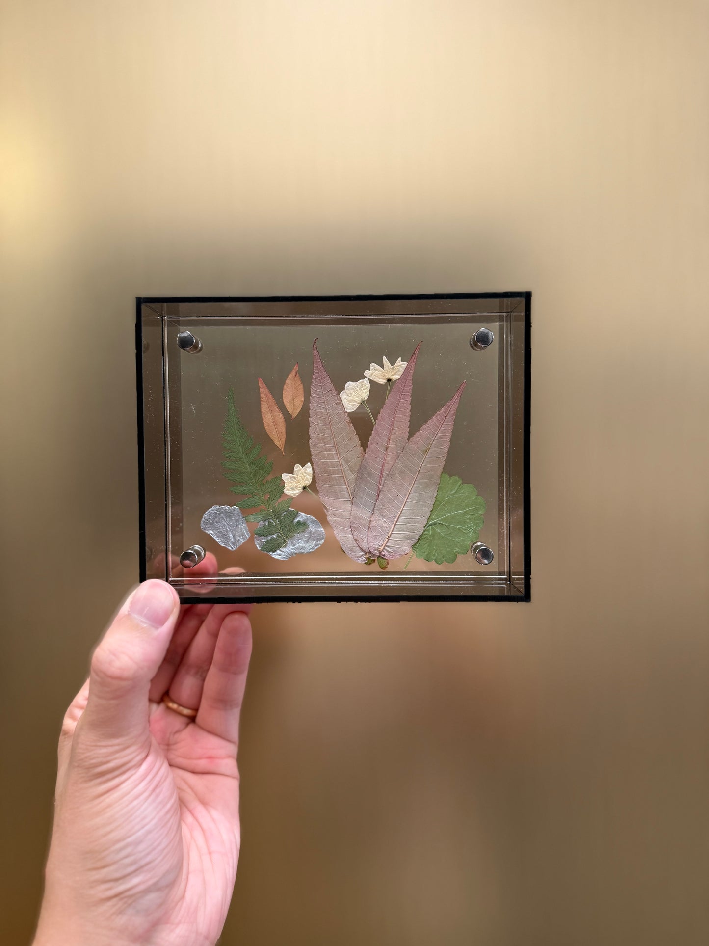 Pressed flower frame