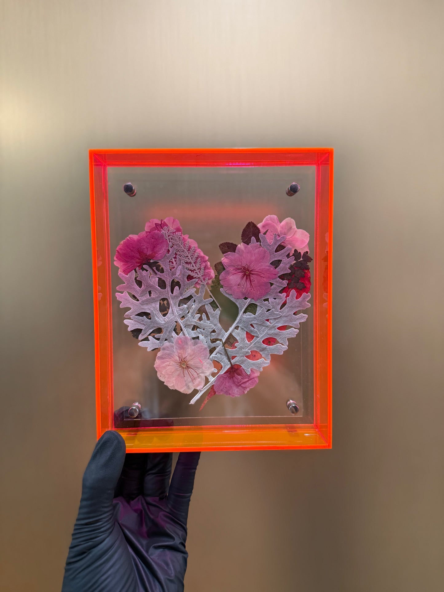 Pressed cherry blossom frame