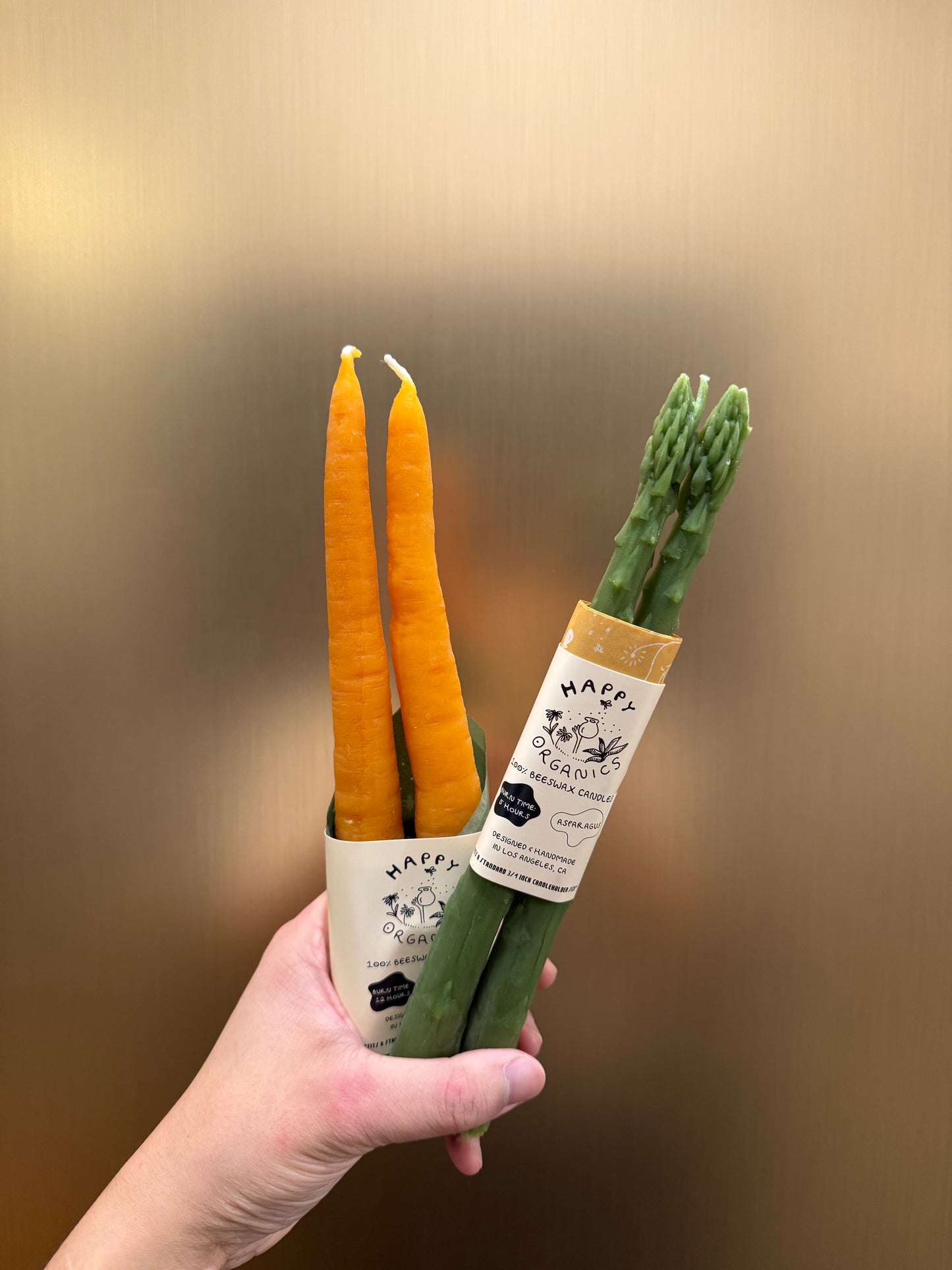 Asparagus Candle sticks (a pair)