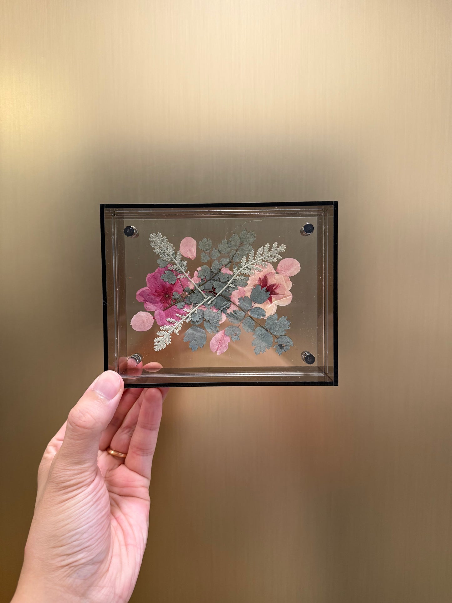 Pressed Cherry Blossom