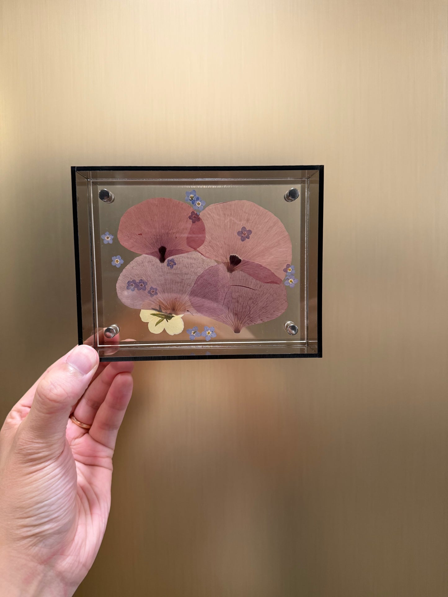 Pressed poppy frame
