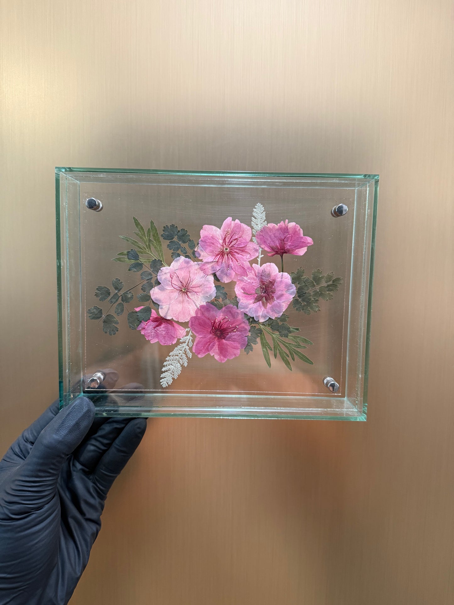 Pressed cherry blossom frame