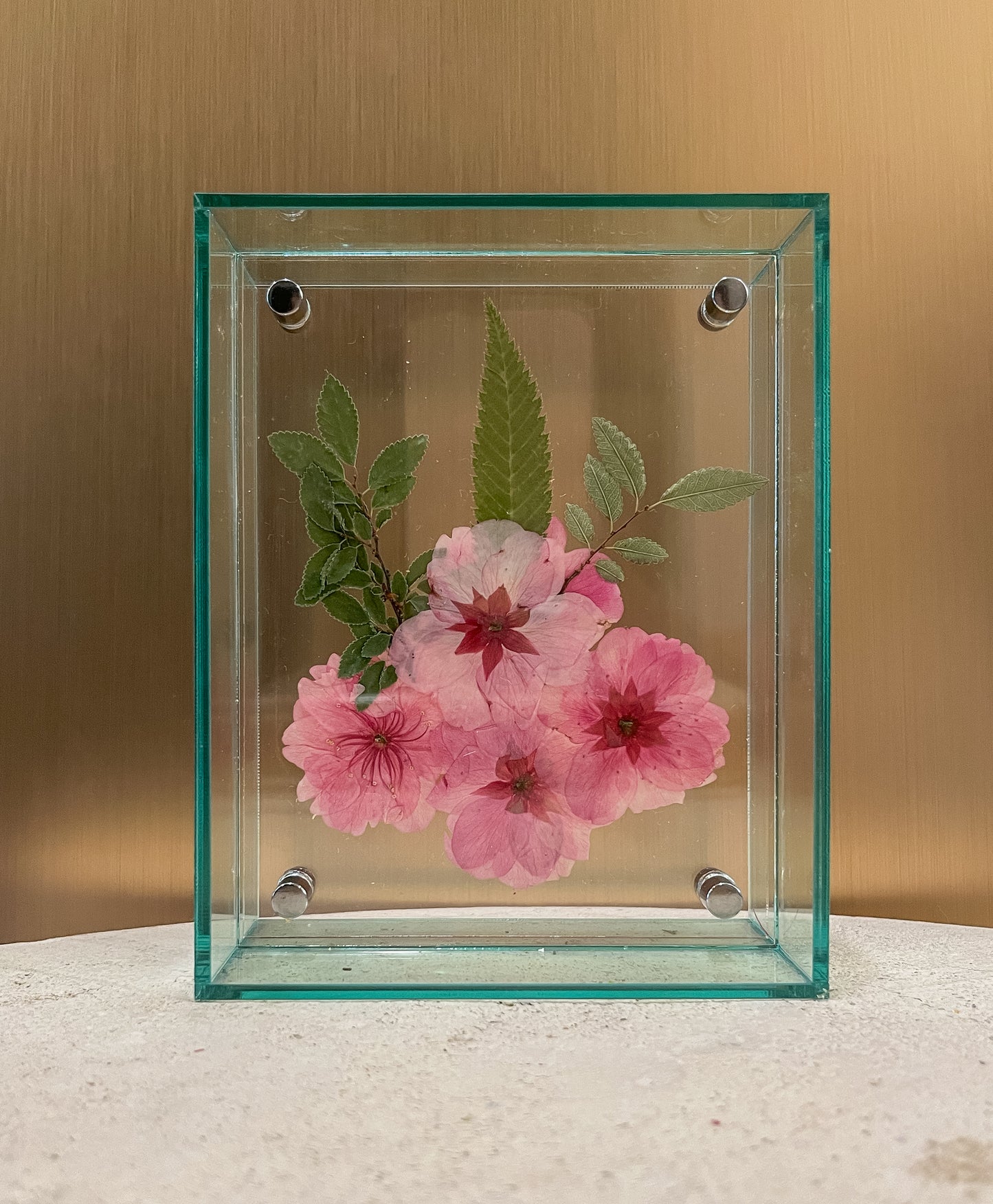 Pressed Cherry Blossom