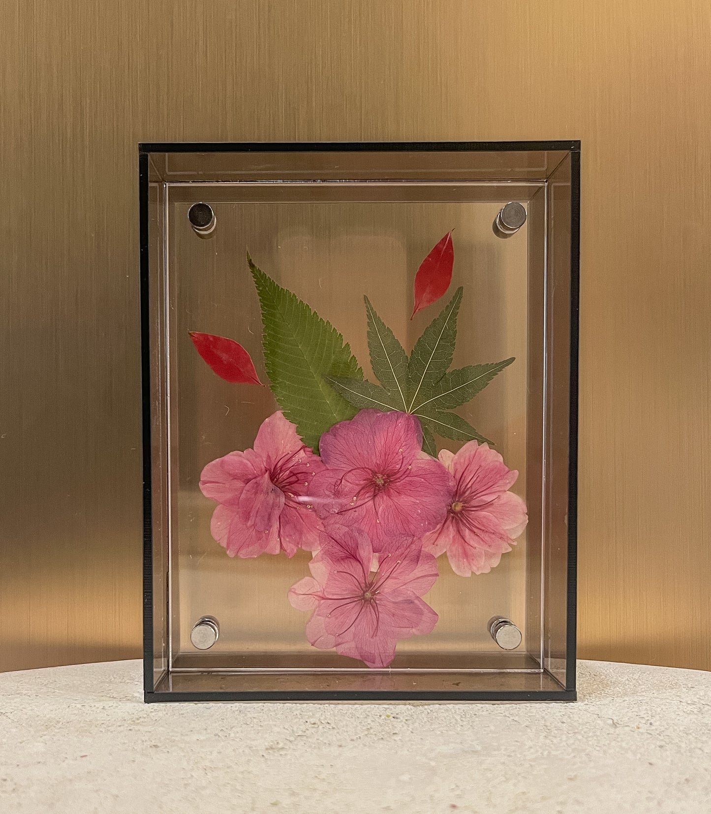 Pressed Cherry Blossom