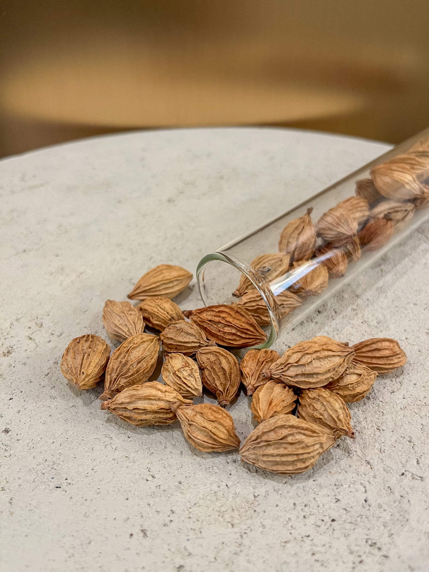 Amomum villosum pods