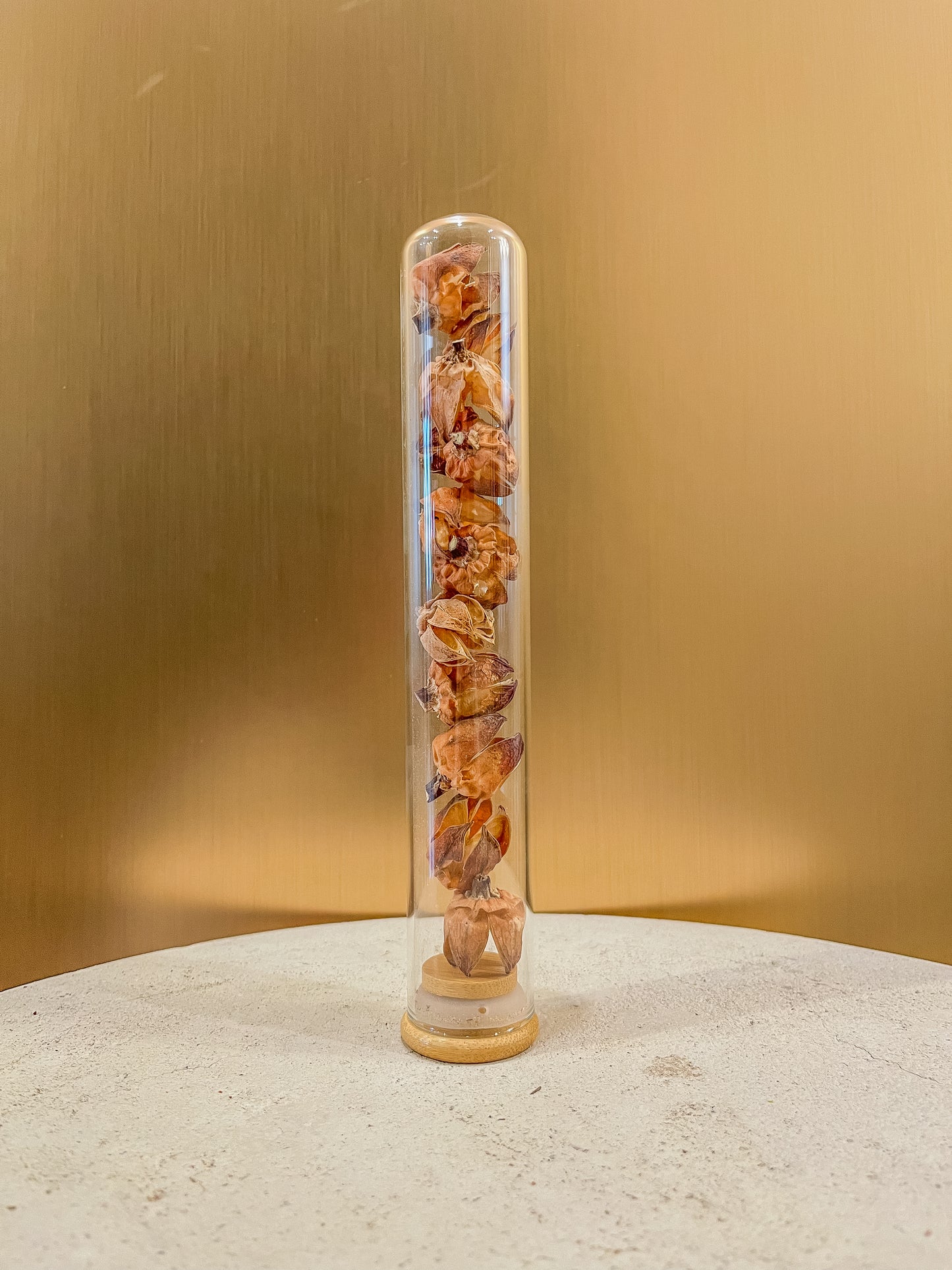 Hibiscus pods in a tube