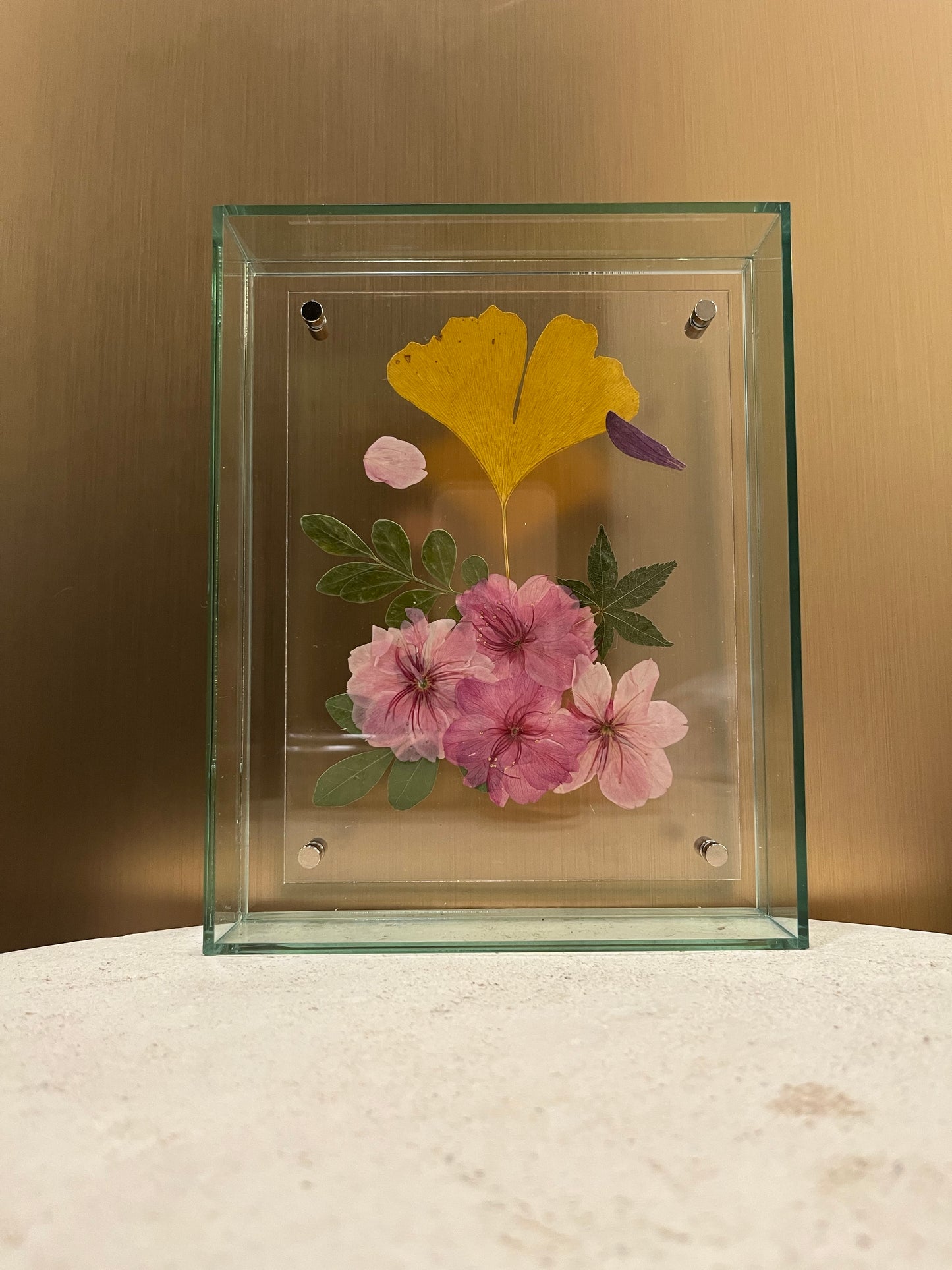 Pressed Cherry Blossom