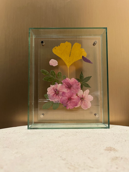 Pressed Cherry Blossom