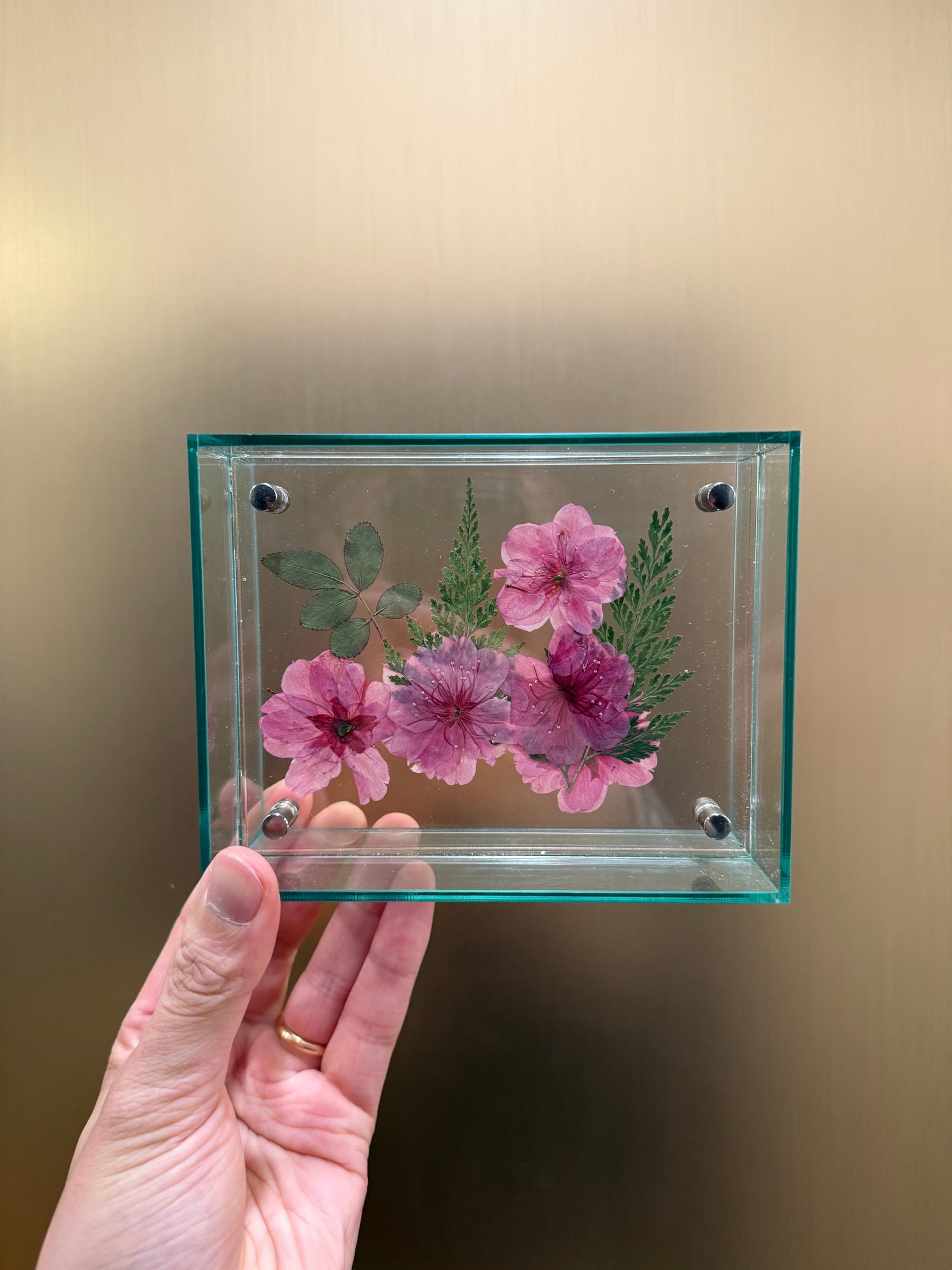 Cherry Blossom frames