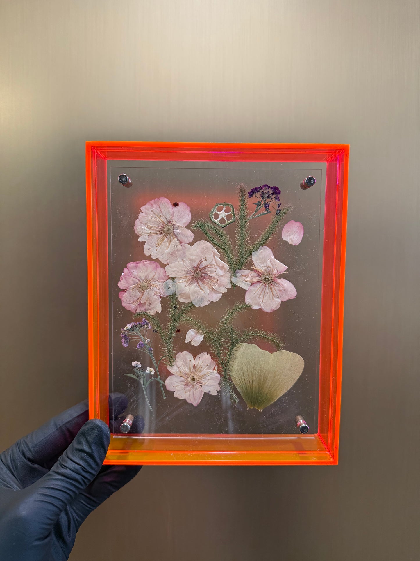 Framed cherry blossoms