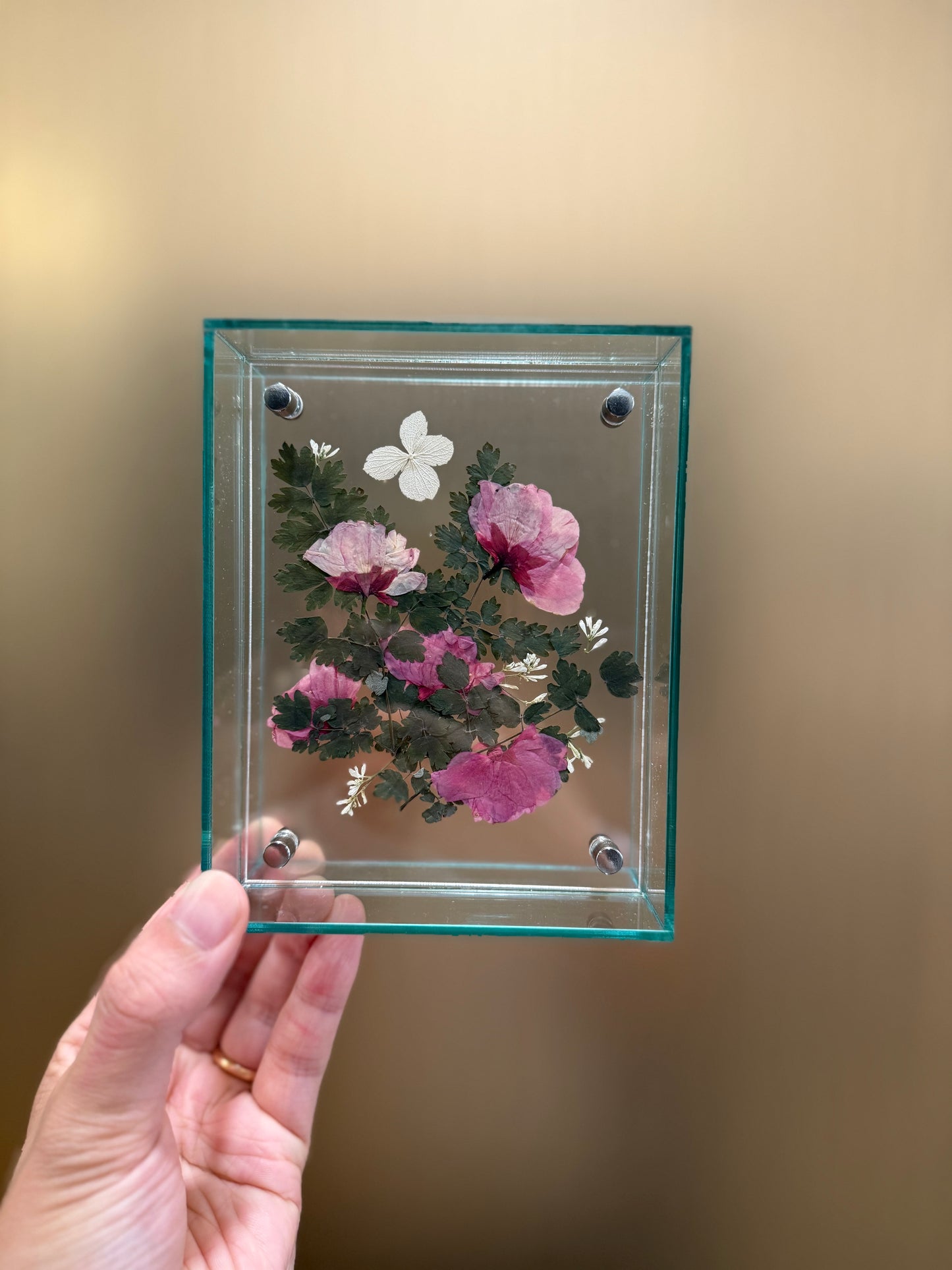 Pressed Cherry Blossom