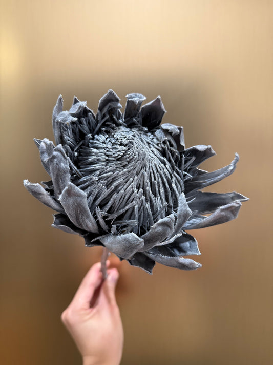 Preserved King Protea (silver)