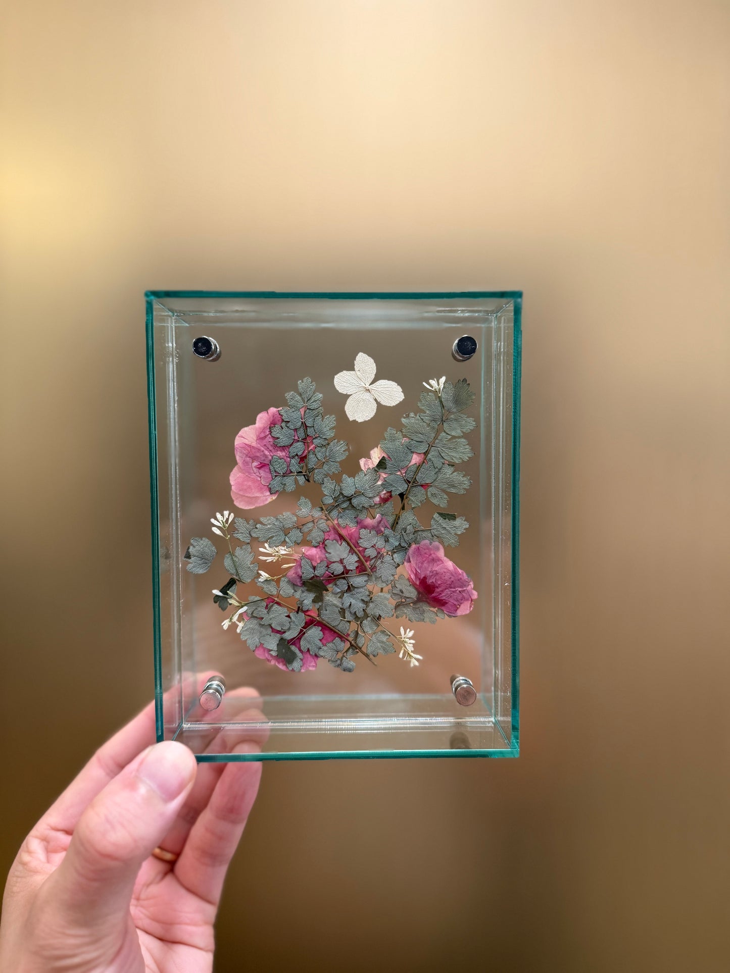 Pressed Cherry Blossom