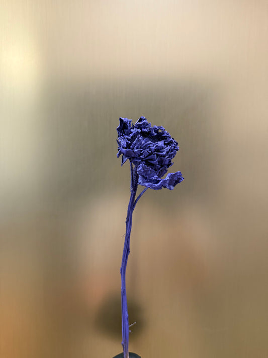 Purple sunflower