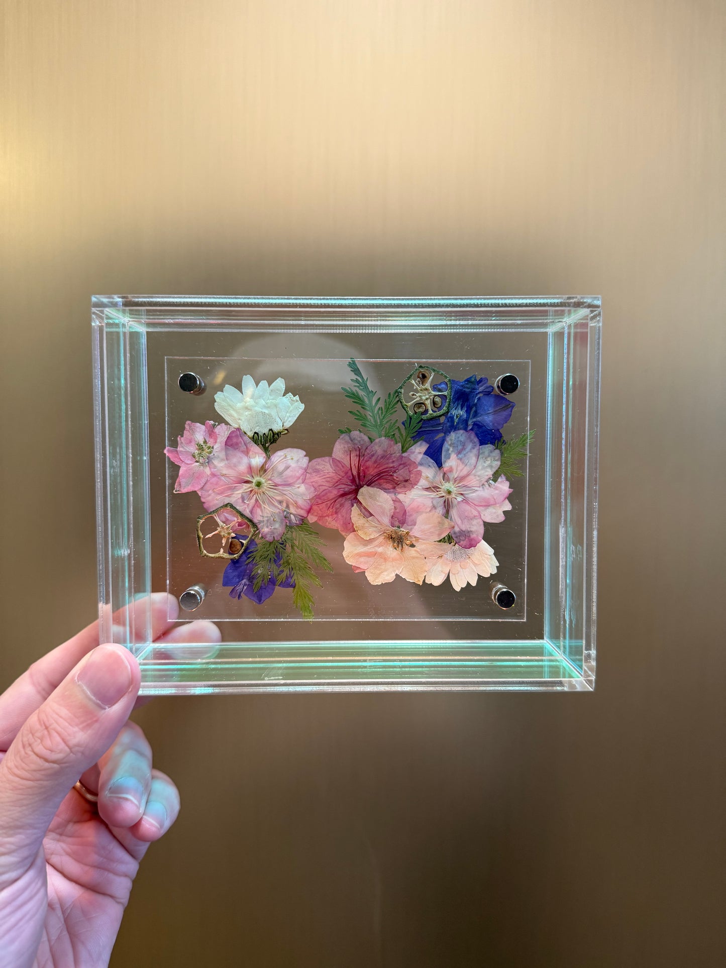 Cherry blossoms frame