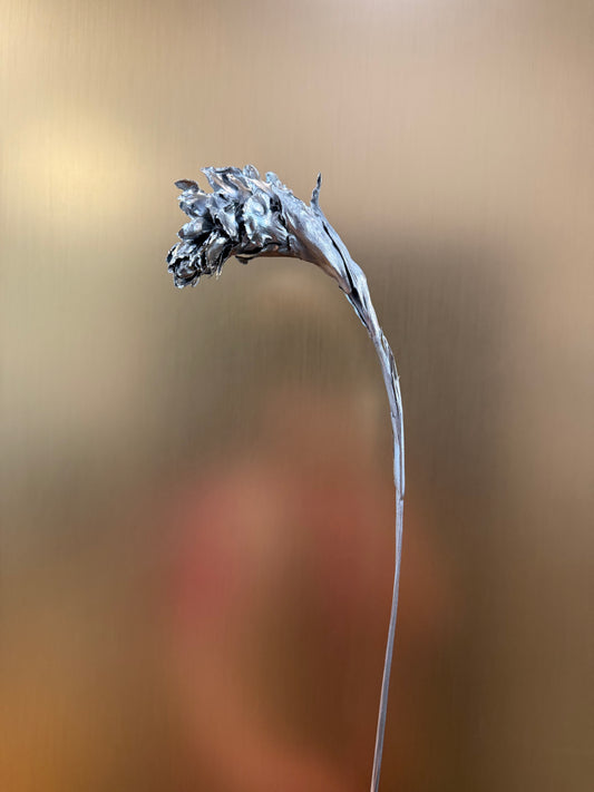 Silver “dragon scale”