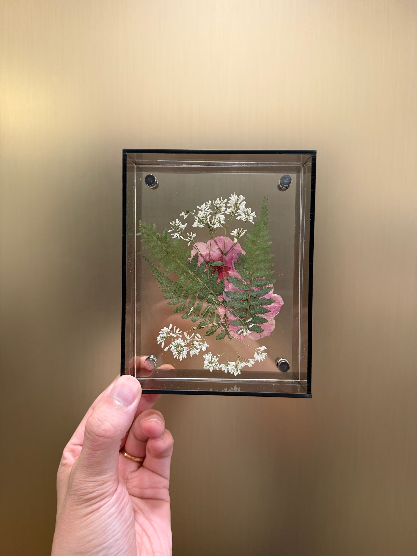 Pressed Cherry Blossom
