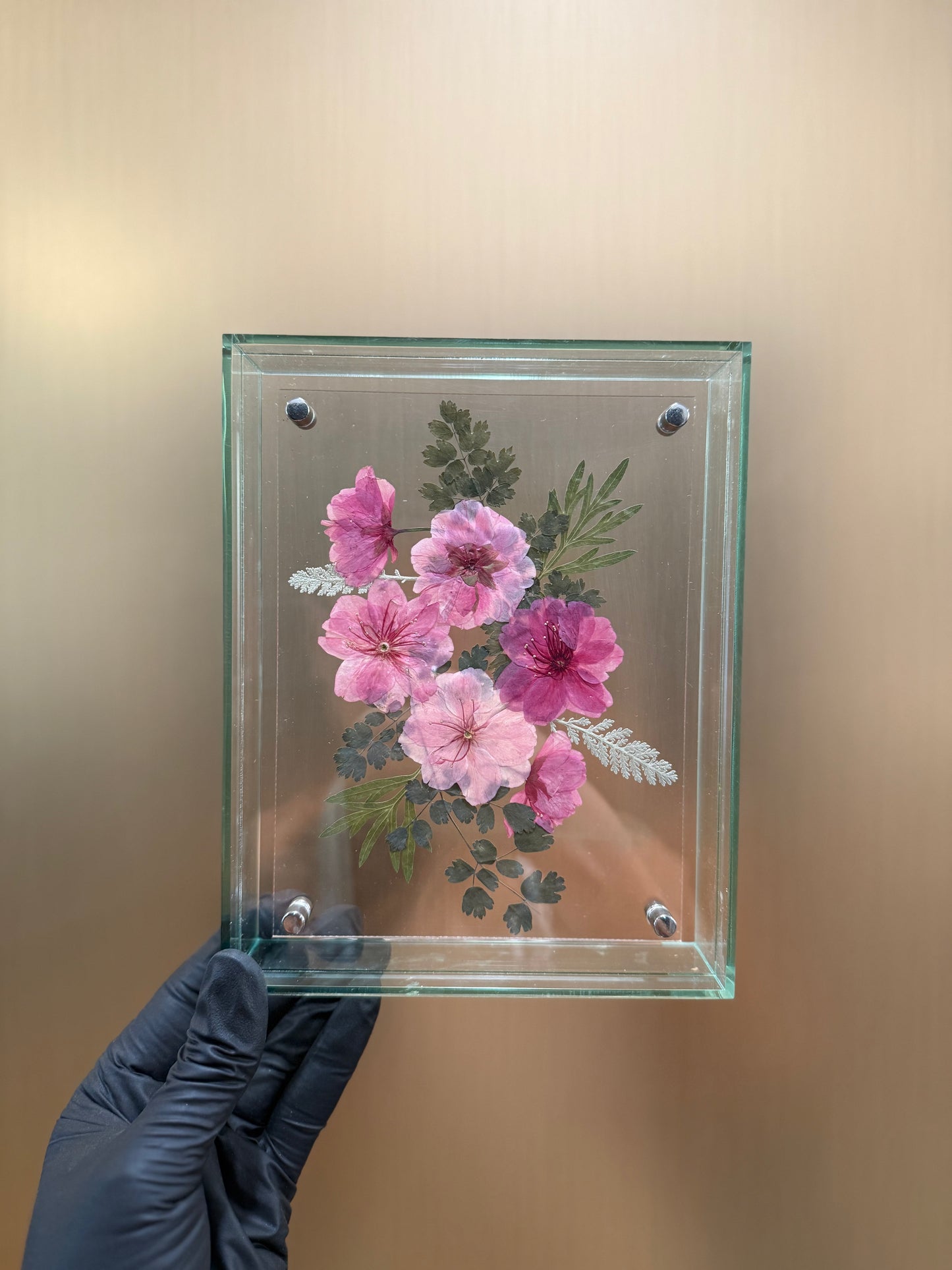 Pressed cherry blossom frame