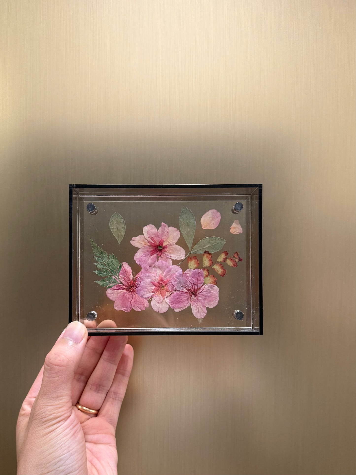 Cherry blossom frame