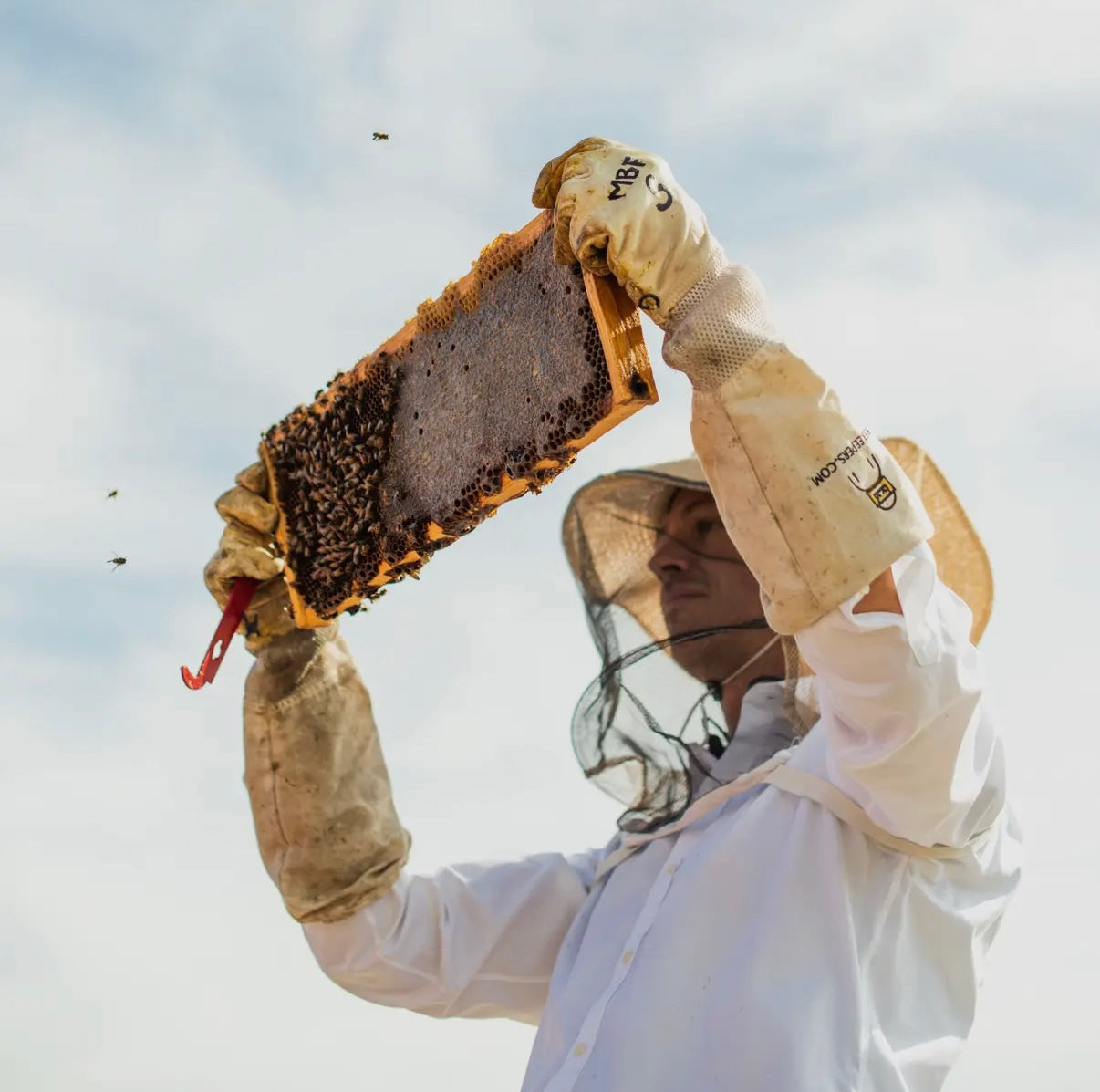 Christmas Tree - 100% Beeswax Candle - Handmade