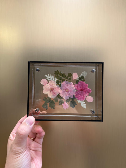 Pressed Cherry Blossom