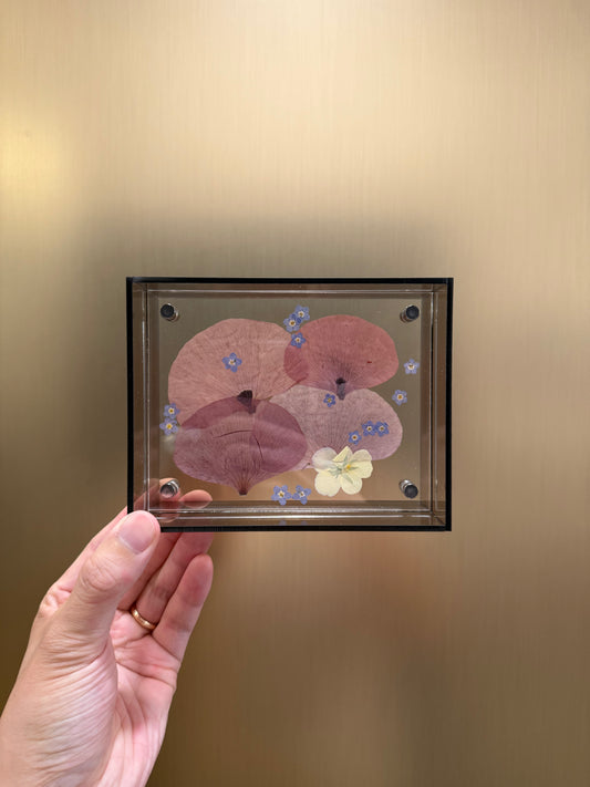 Pressed poppy frame