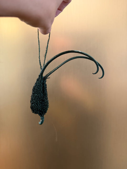 Christmas Ornament - unicorn pod