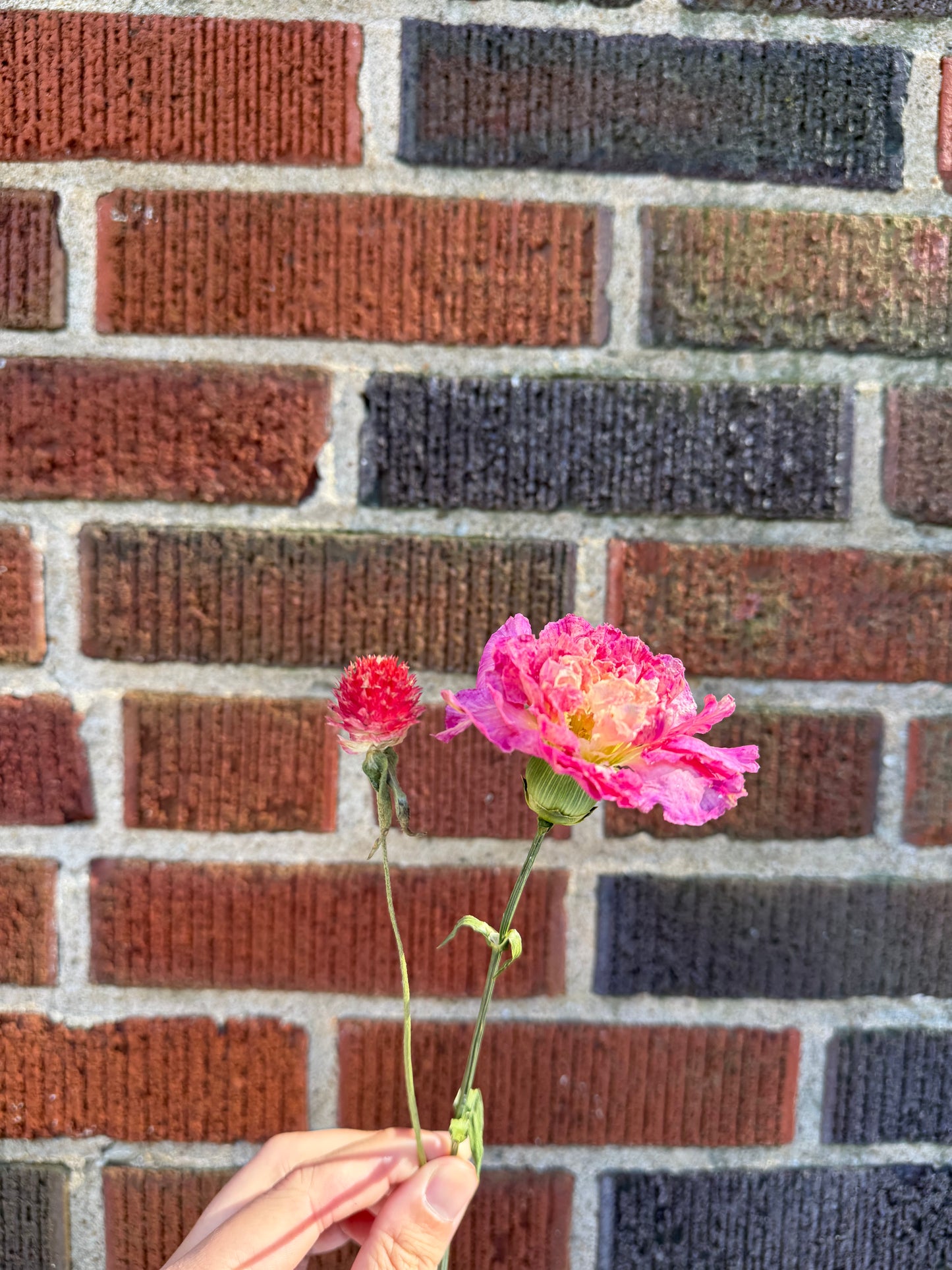 Josephine’s bouquet