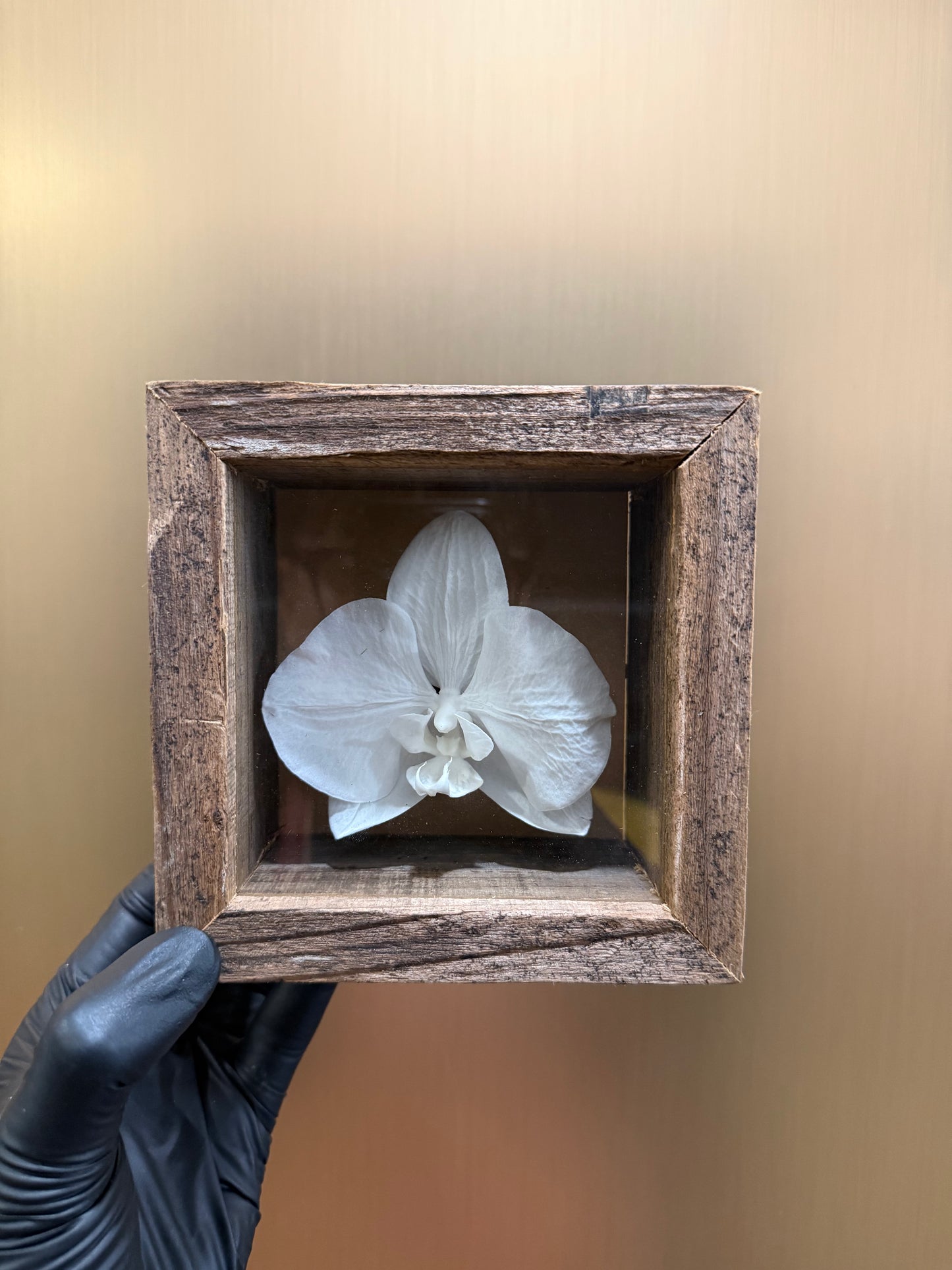 Orchid box