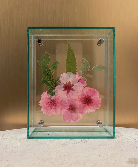 Pressed Cherry Blossom
