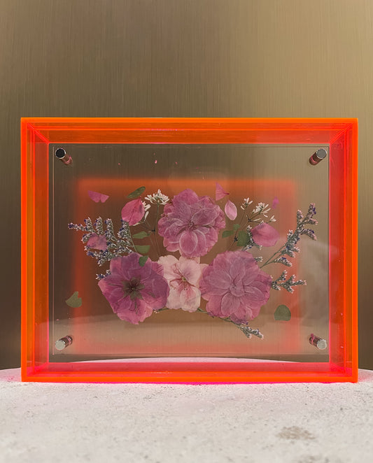Pressed Cherry Blossom