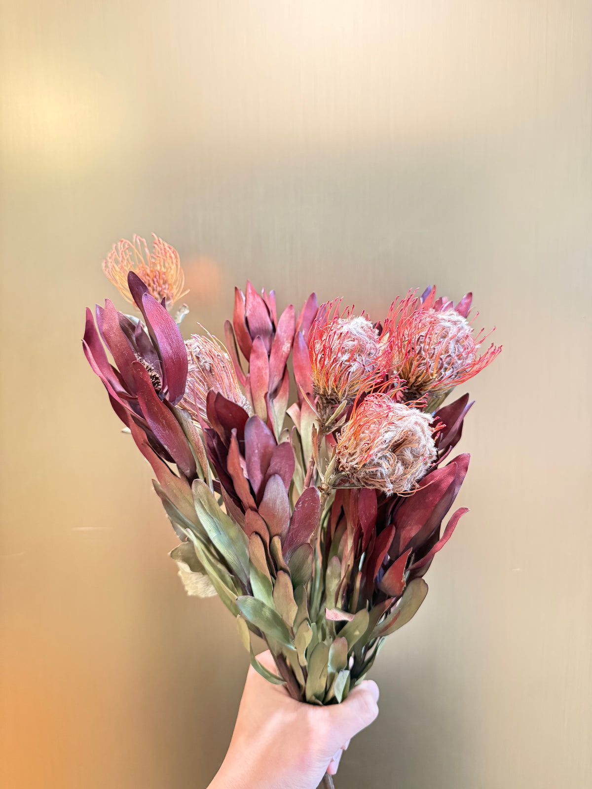 Proteas and safari sunset